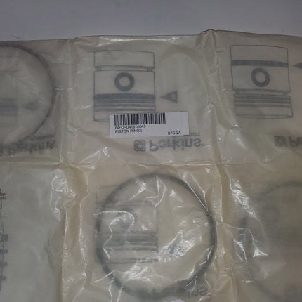 PISTON RINGS U4181A045