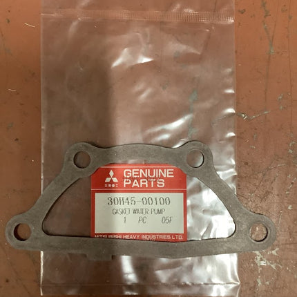 Mahindra Water Pump Gasket